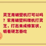 灵芝用破壁机打可以吗？家用破壁料理机打灵芝，打出来成棉絮状，嚼着硬怎吞吃