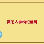 灵芝人参枸杞鹿茸