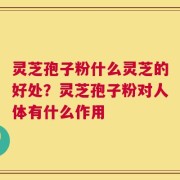 灵芝孢子粉什么灵芝的好处？灵芝孢子粉对人体有什么作用
