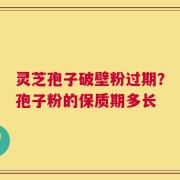 灵芝孢子破壁粉过期？孢子粉的保质期多长