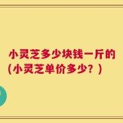 小灵芝多少块钱一斤的(小灵芝单价多少？)