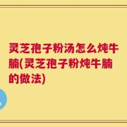 灵芝孢子粉汤怎么炖牛腩(灵芝孢子粉炖牛腩的做法)
