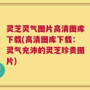 灵芝灵气图片高清图库下载(高清图库下载：灵气充沛的灵芝珍贵图片)