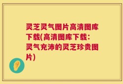 灵芝灵气图片高清图库下载(高清图库下载：灵气充沛的灵芝珍贵图片)
