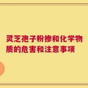 灵芝孢子粉掺和化学物质的危害和注意事项
