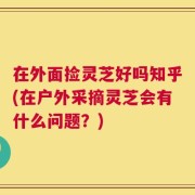 在外面捡灵芝好吗知乎(在户外采摘灵芝会有什么问题？)