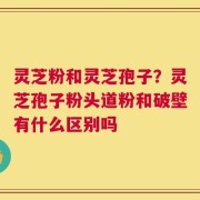 灵芝粉和灵芝孢子？灵芝孢子粉头道粉和破壁有什么区别吗
