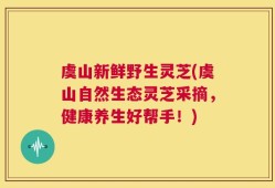 虞山新鲜野生灵芝(虞山自然生态灵芝采摘，健康养生好帮手！)