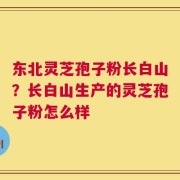 东北灵芝孢子粉长白山？长白山生产的灵芝孢子粉怎么样