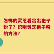 怎样的灵芝看出出孢子粉了？识别灵芝孢子粉的方法？