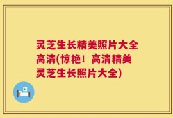 灵芝生长精美照片大全高清(惊艳！高清精美灵芝生长照片大全)