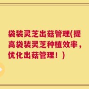 袋装灵芝出菇管理(提高袋装灵芝种植效率，优化出菇管理！)