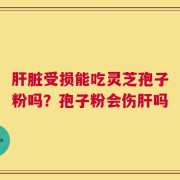 肝脏受损能吃灵芝孢子粉吗？孢子粉会伤肝吗
