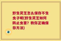 野生灵芝怎么保存不生虫子呢(野生灵芝如何防止虫害？教你正确保存方法)