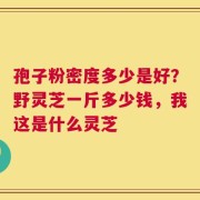 孢子粉密度多少是好？野灵芝一斤多少钱，我这是什么灵芝