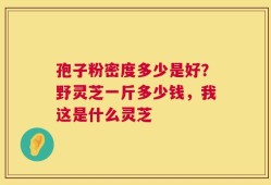 孢子粉密度多少是好？野灵芝一斤多少钱，我这是什么灵芝