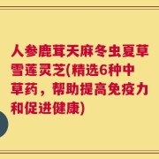 人参鹿茸天麻冬虫夏草雪莲灵芝(精选6种中草药，帮助提高免疫力和促进健康)