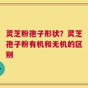 灵芝粉孢子形状？灵芝孢子粉有机和无机的区别