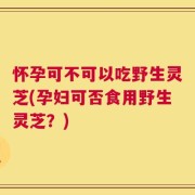怀孕可不可以吃野生灵芝(孕妇可否食用野生灵芝？)