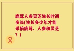 鹿茸人参灵芝生长时间多长(生长多少年才能采摘鹿茸、人参和灵芝？)