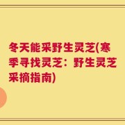 冬天能采野生灵芝(寒季寻找灵芝：野生灵芝采摘指南)