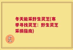 冬天能采野生灵芝(寒季寻找灵芝：野生灵芝采摘指南)
