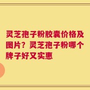 灵芝孢子粉胶囊价格及图片？灵芝孢子粉哪个牌子好又实惠
