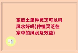 家庭土里种灵芝可以吗风水好吗(种植灵芝在家中的风水及效益)
