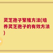 灵芝孢子繁殖方法(培养灵芝孢子的有效方法)