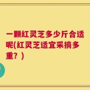 一颗红灵芝多少斤合适呢(红灵芝适宜采摘多重？)