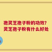 孢灵芝孢子粉的功效？灵芝孢子粉有什么好处