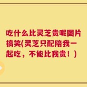 吃什么比灵芝贵呢图片搞笑(灵芝只配陪我一起吃，不能比我贵！)