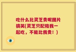 吃什么比灵芝贵呢图片搞笑(灵芝只配陪我一起吃，不能比我贵！)