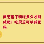 灵芝孢子粉吃多久才能减肥？吃灵芝可以减肥吗