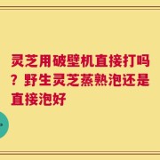 灵芝用破壁机直接打吗？野生灵芝蒸熟泡还是直接泡好