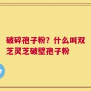 破碎孢子粉？什么叫双芝灵芝破壁孢子粉