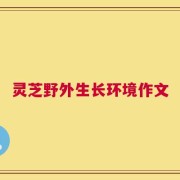 灵芝野外生长环境作文