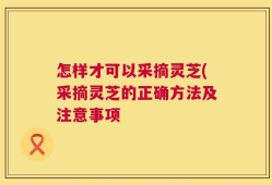 怎样才可以采摘灵芝(采摘灵芝的正确方法及注意事项