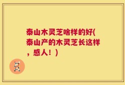 泰山木灵芝啥样的好(泰山产的木灵芝长这样，感人！)
