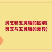 灵芝和五灵脂的区别(灵芝与五灵脂的差异)