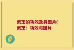 灵芝的功效及其图片(灵芝：功效与图片
