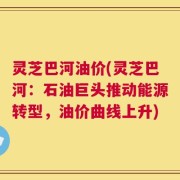灵芝巴河油价(灵芝巴河：石油巨头推动能源转型，油价曲线上升)