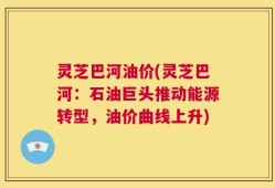灵芝巴河油价(灵芝巴河：石油巨头推动能源转型，油价曲线上升)