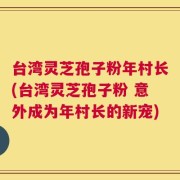 台湾灵芝孢子粉年村长(台湾灵芝孢子粉 意外成为年村长的新宠)