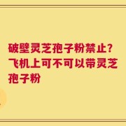 破壁灵芝孢子粉禁止？飞机上可不可以带灵芝孢子粉