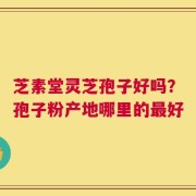 芝素堂灵芝孢子好吗？孢子粉产地哪里的最好