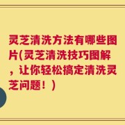 灵芝清洗方法有哪些图片(灵芝清洗技巧图解，让你轻松搞定清洗灵芝问题！)