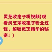 灵芝收孢子粉视频(观看灵芝采收孢子粉全过程，解锁灵芝精华的秘密！)