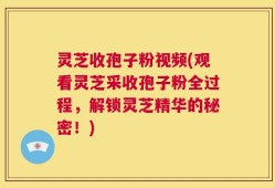 灵芝收孢子粉视频(观看灵芝采收孢子粉全过程，解锁灵芝精华的秘密！)