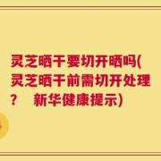 灵芝晒干要切开晒吗(灵芝晒干前需切开处理？  新华健康提示)